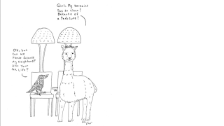 Raven And Alpaca Gossip At The Salon